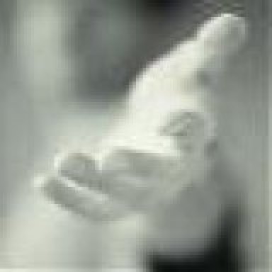 cesur